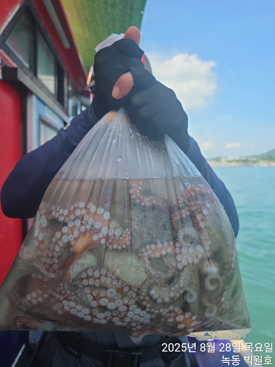 사용자가 올린 이미지