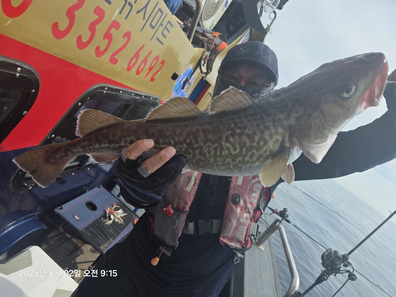 사용자가 올린 이미지