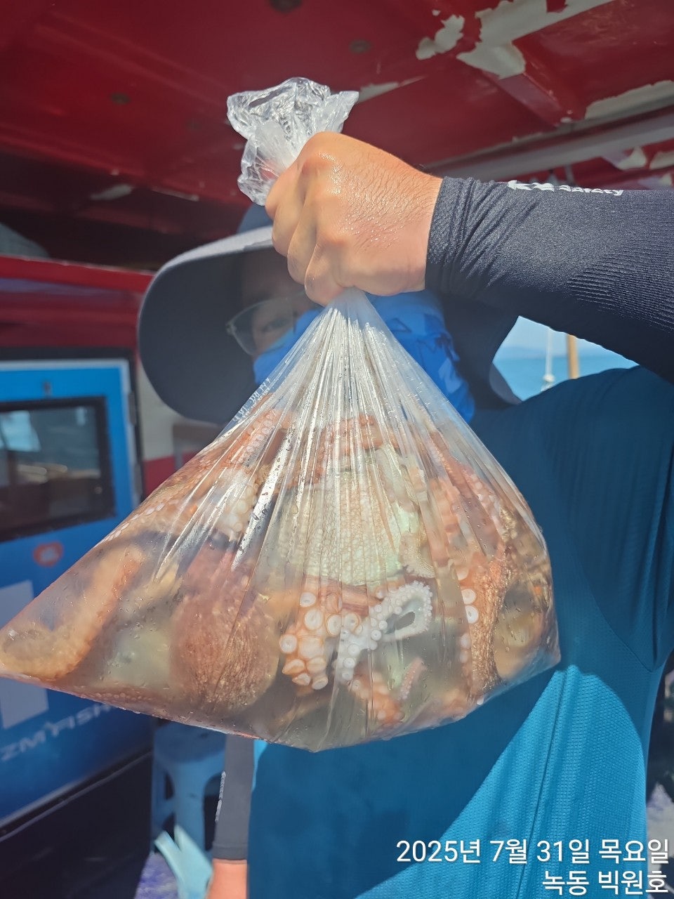 사용자가 올린 이미지