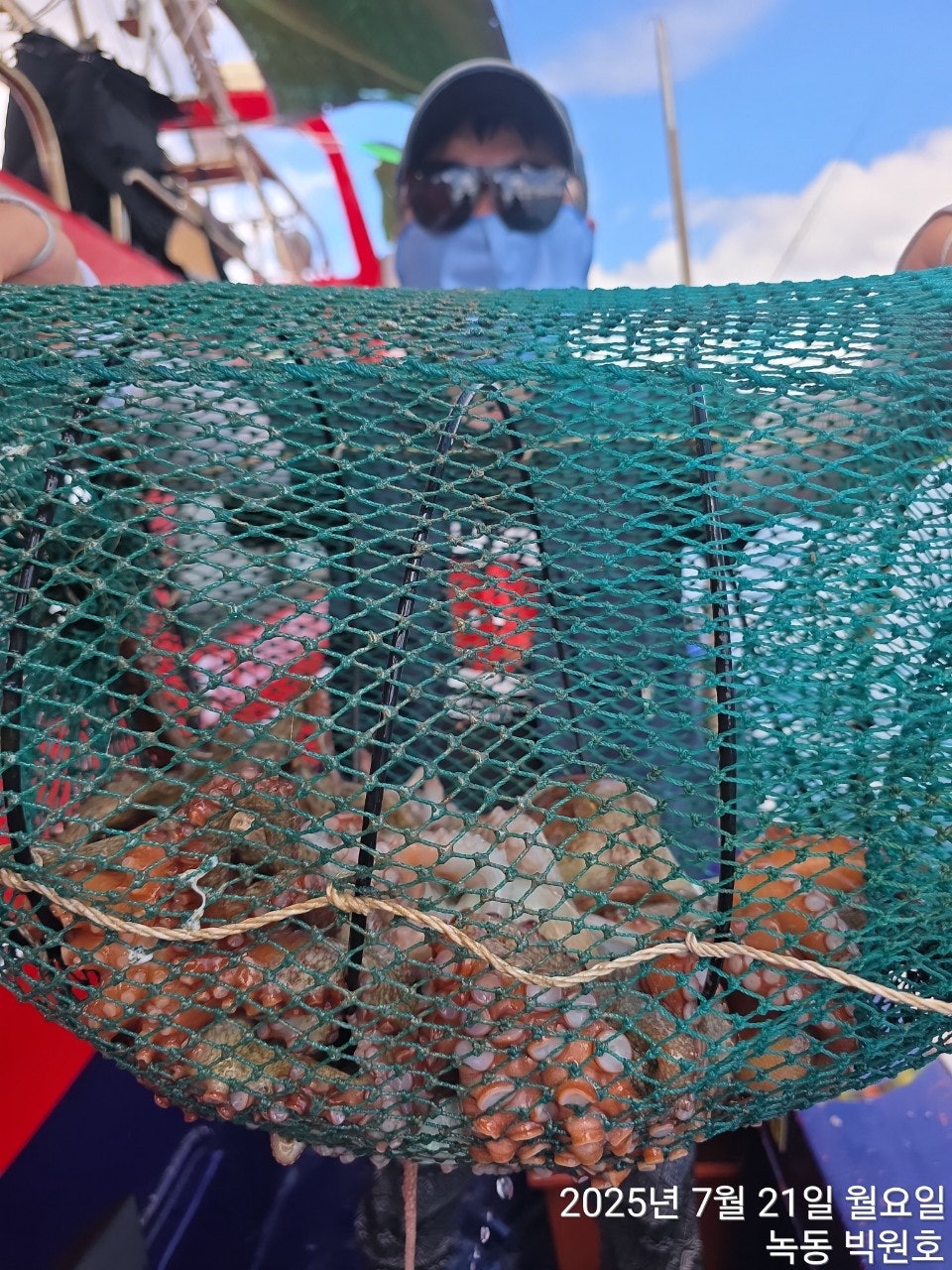 사용자가 올린 이미지