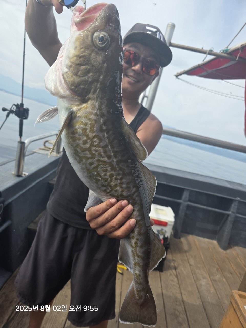 사용자가 올린 이미지