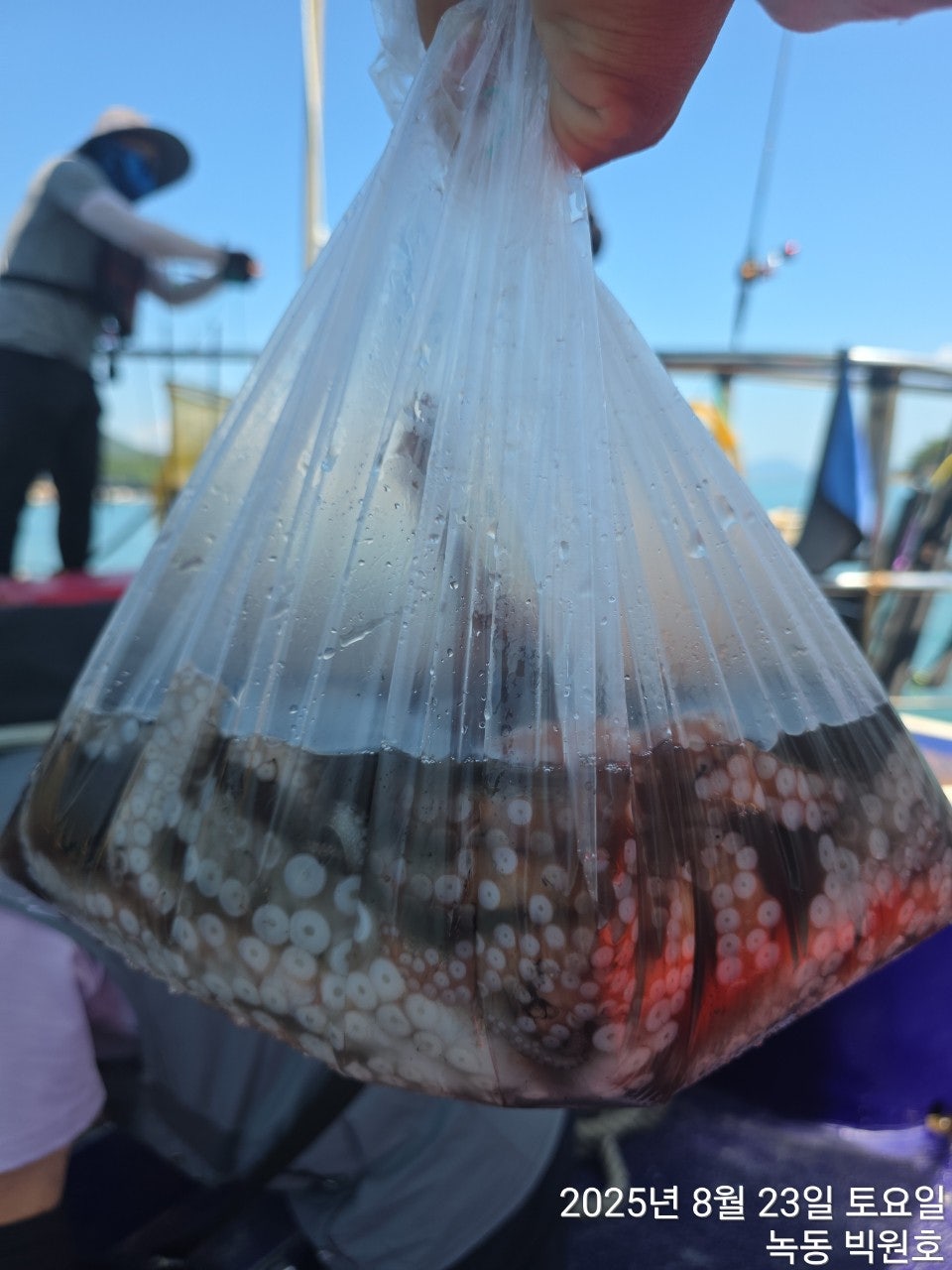 사용자가 올린 이미지