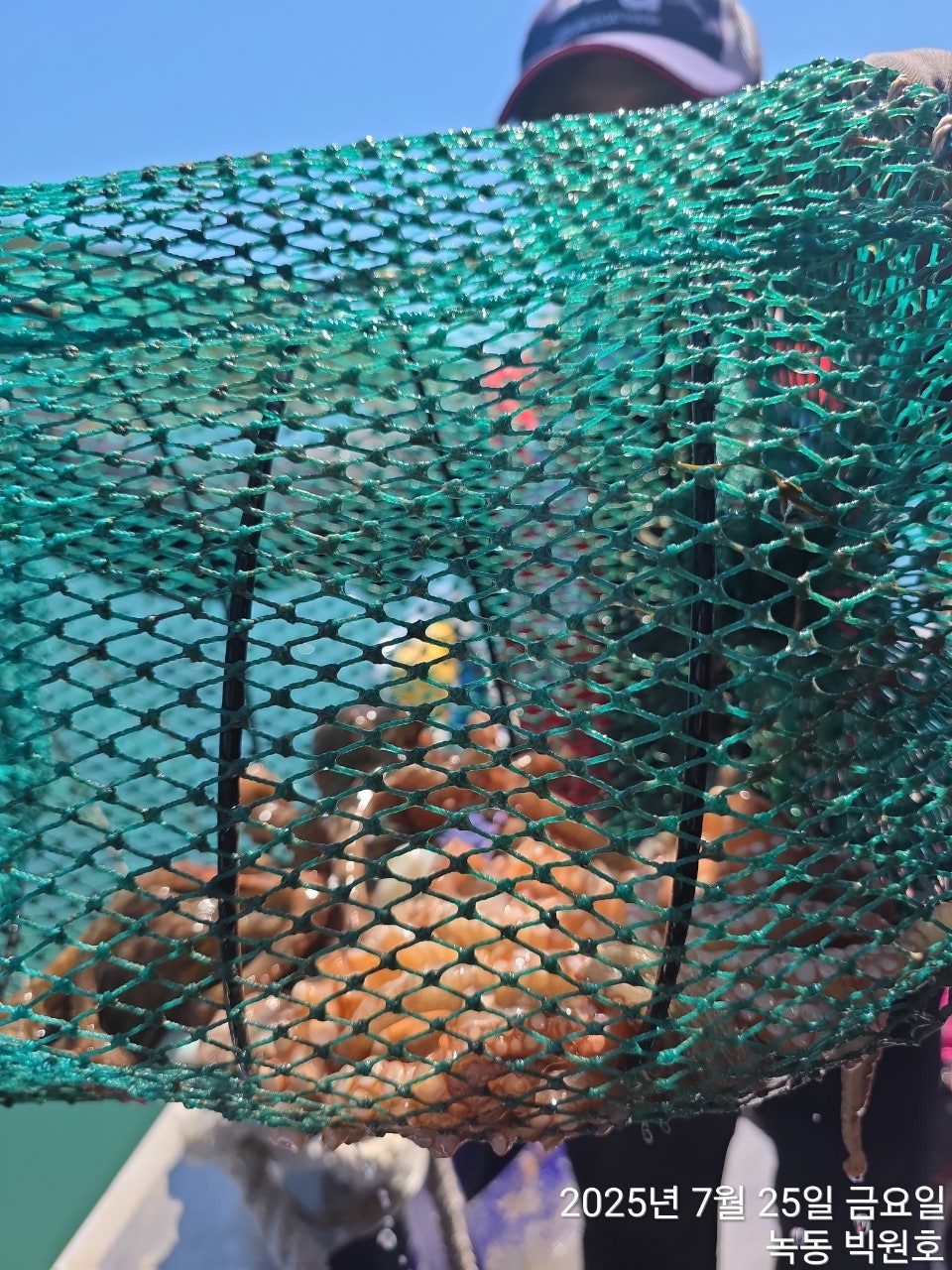 사용자가 올린 이미지