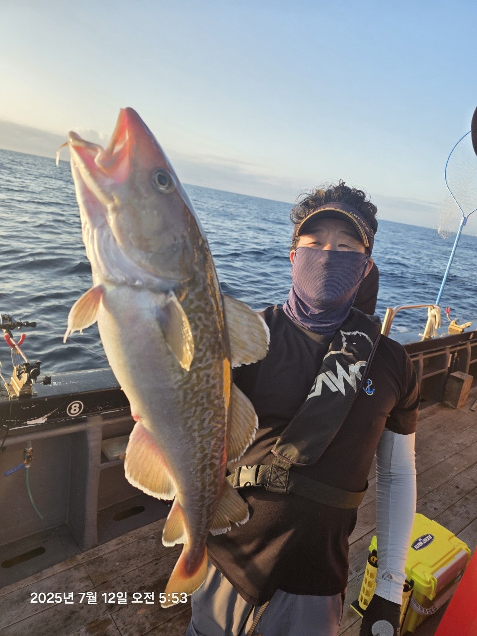 25년 7월 12일 공현진항 미르호 왕대구 조황