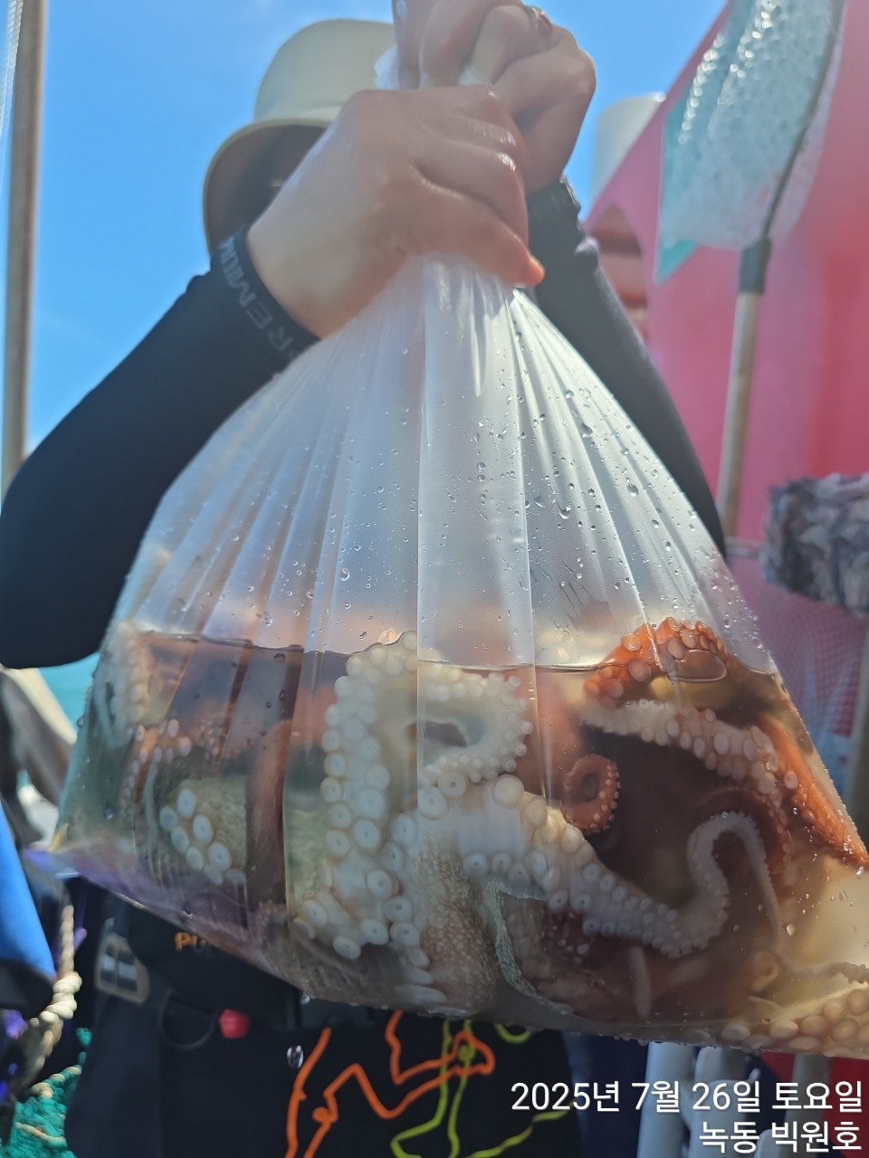 25년 7월 26일 고흥 녹동항 빅원호 (왕)돌문어 조황