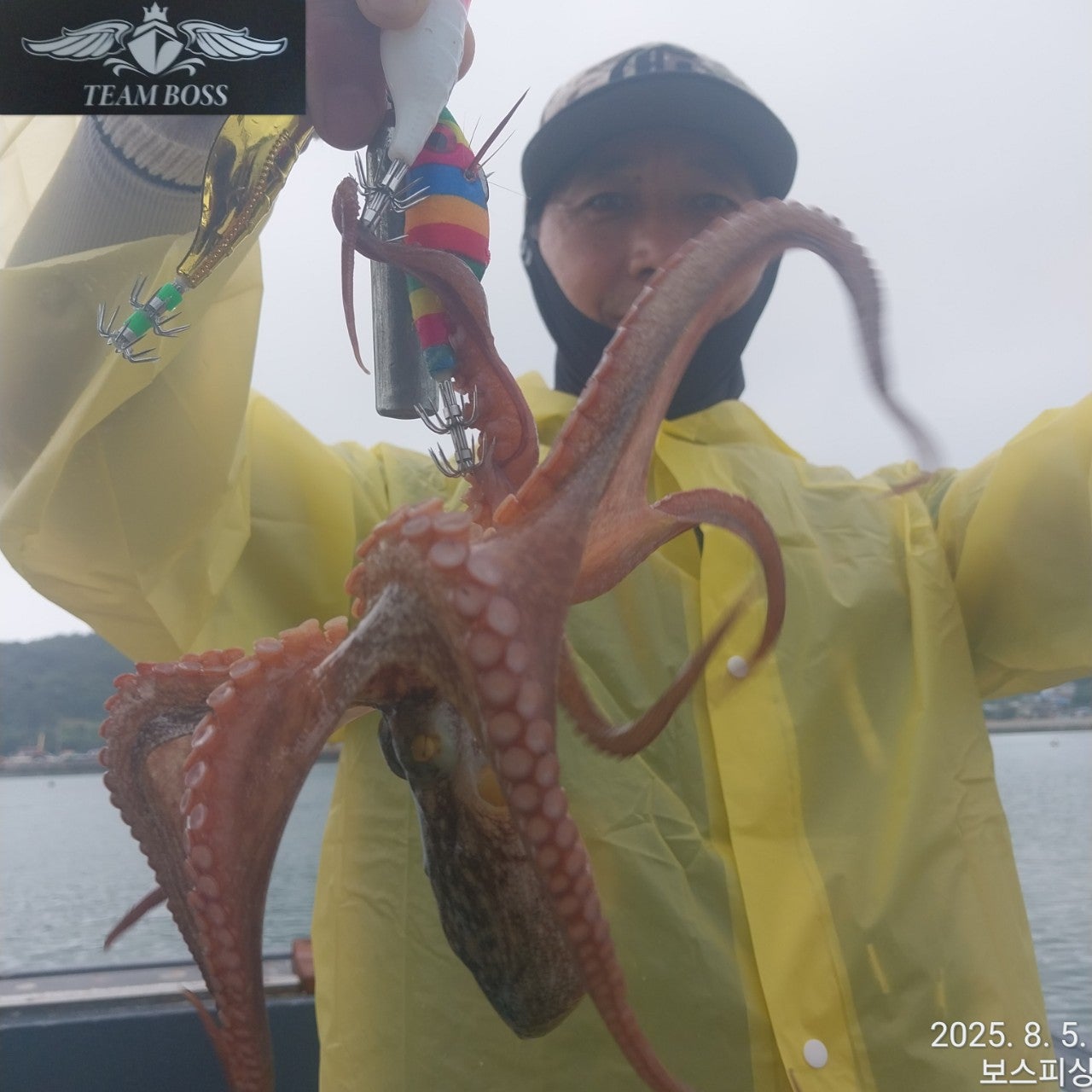 사용자가 올린 이미지