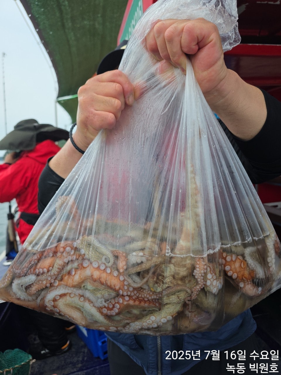 사용자가 올린 이미지