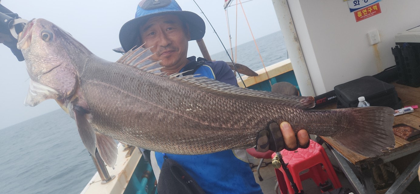 25년 8월 3일 격포 남부스타호 생미끼외수질 조황