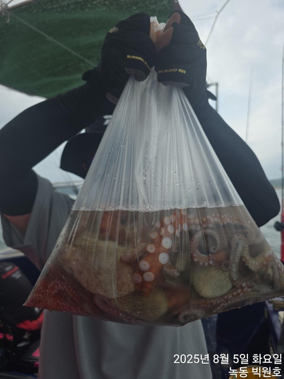 사용자가 올린 이미지