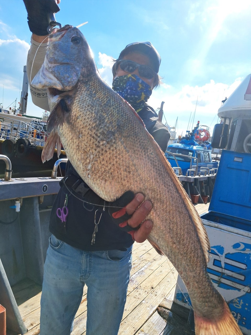 25년 7월 20일 격포 남부스타호, 드래곤1호 생미끼 외수질 조황