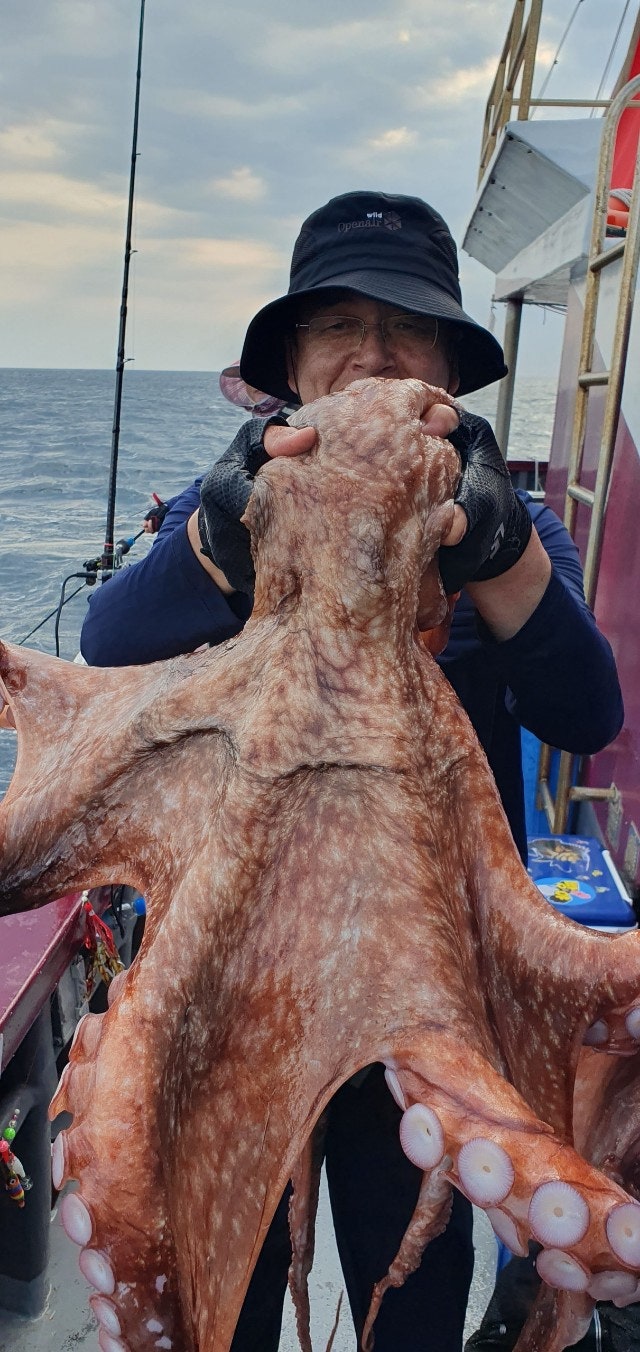 25년 7월 5일 공현진항 일광호 대왕 피문어 조황
