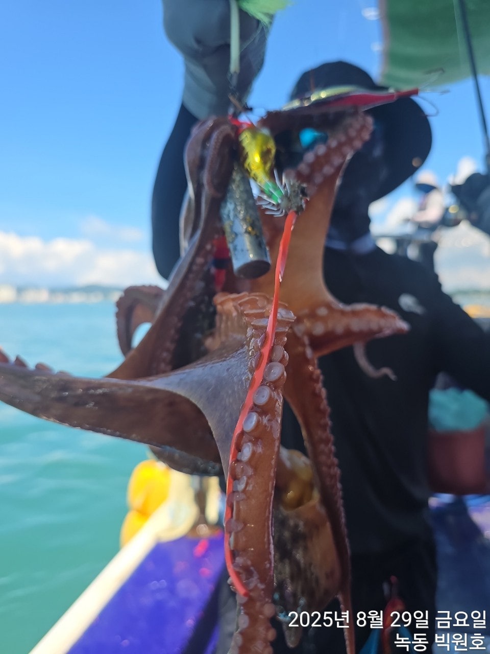 사용자가 올린 이미지