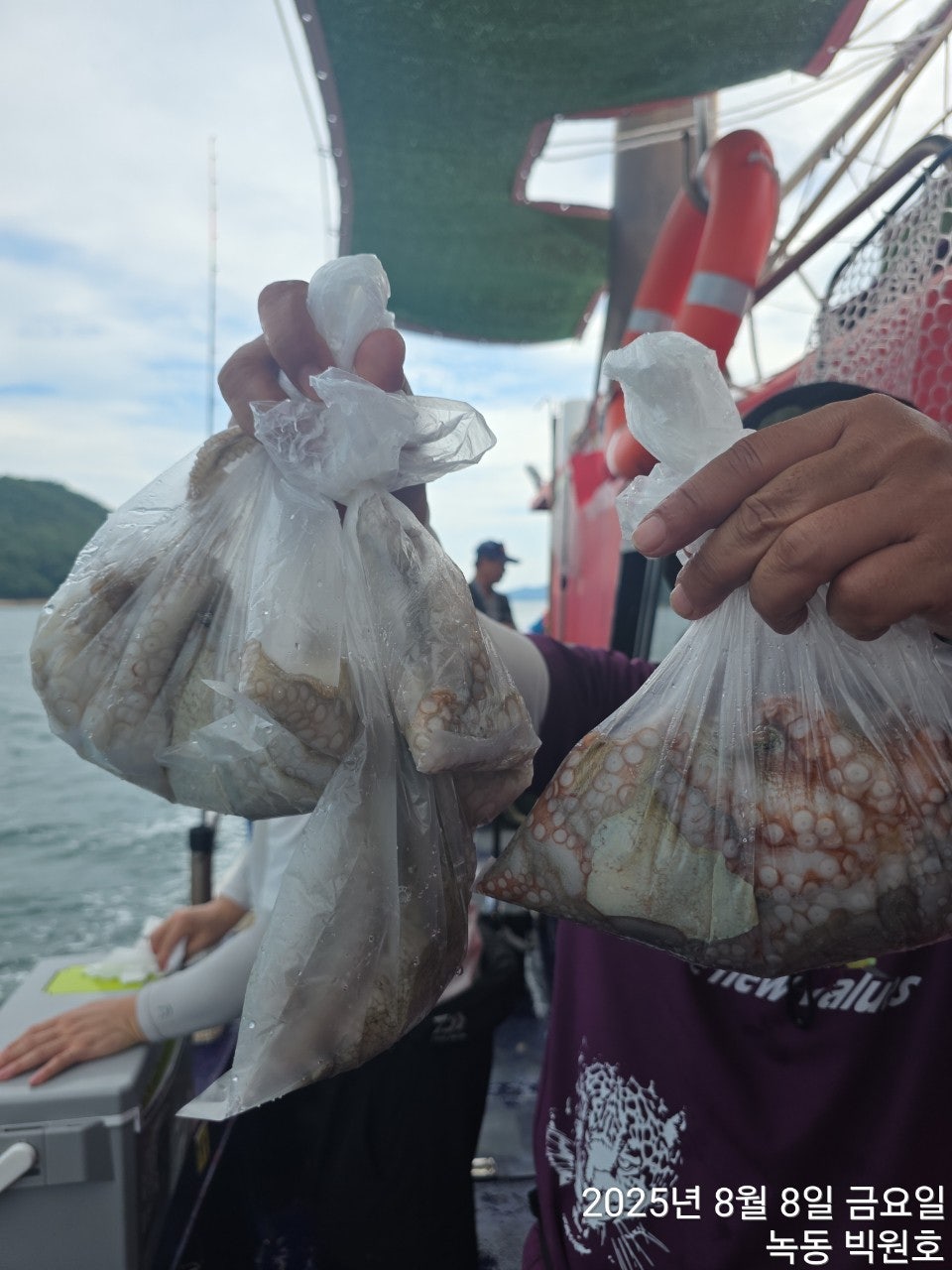 사용자가 올린 이미지