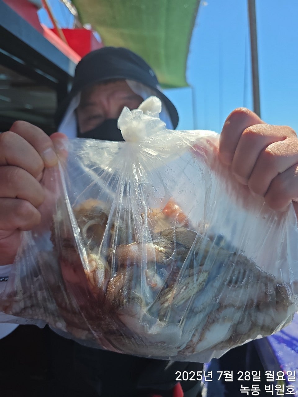 사용자가 올린 이미지