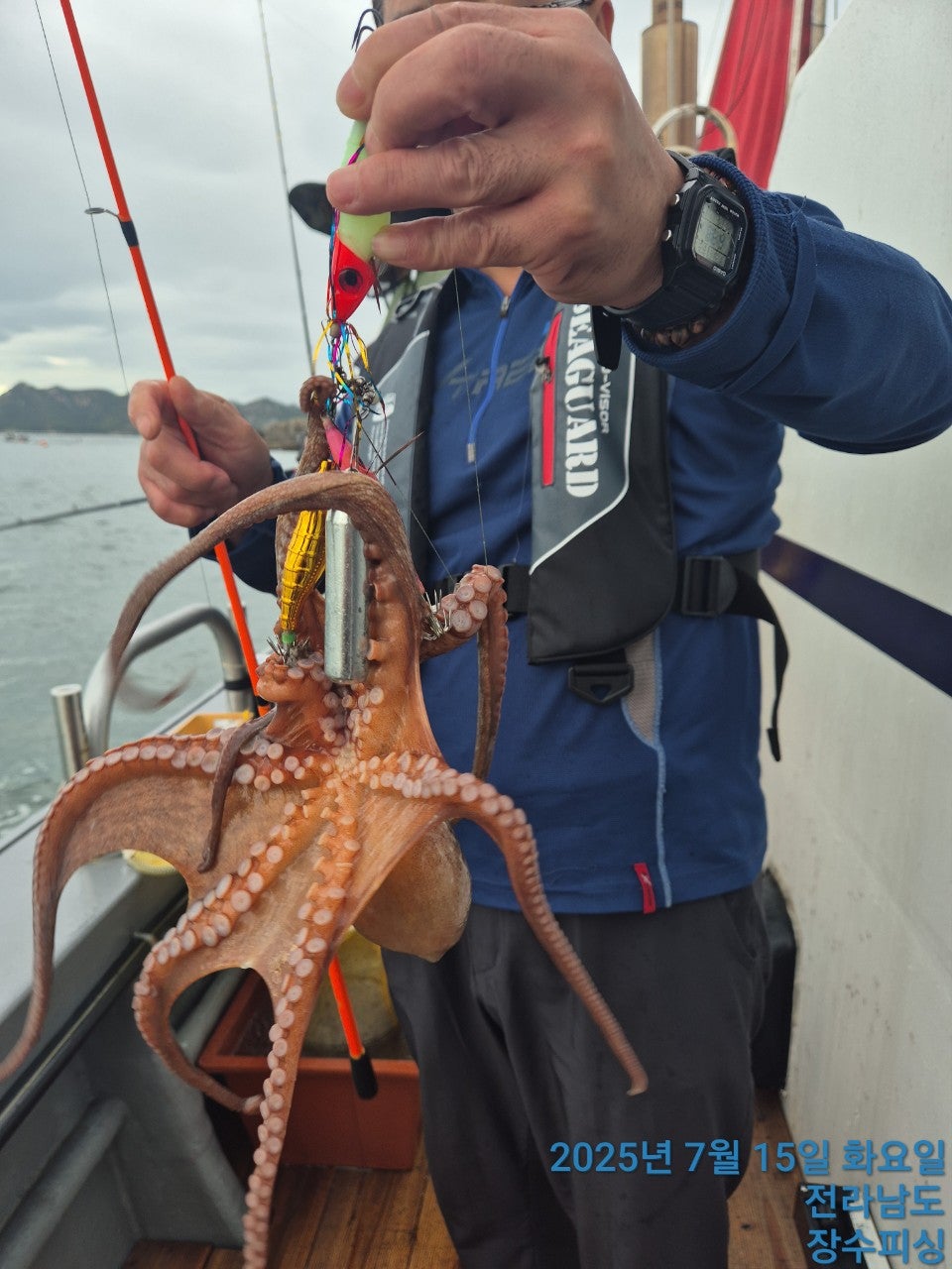 사용자가 올린 이미지