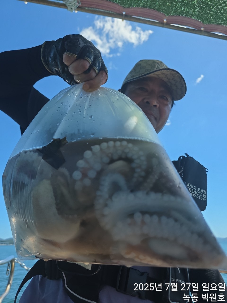 사용자가 올린 이미지