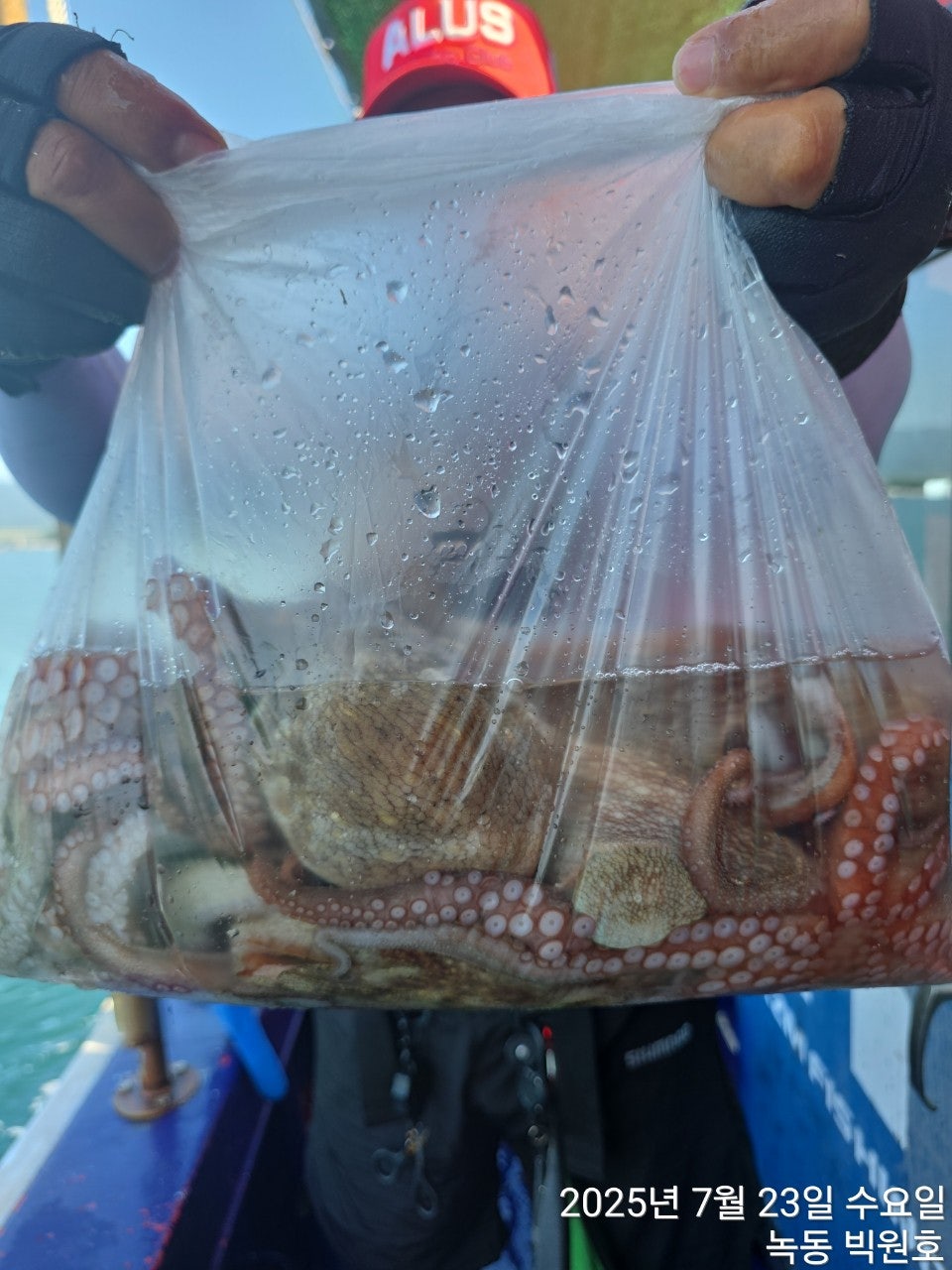 사용자가 올린 이미지