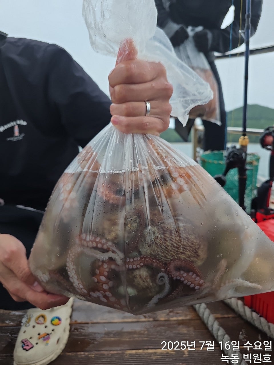 25년 7월 16일 고흥 녹동 빅원호 (왕)돌문어 조황