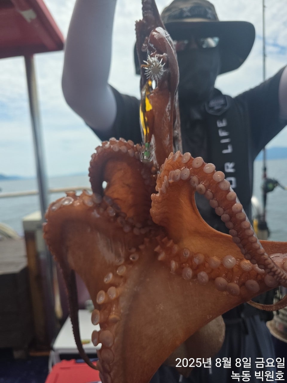 25년 8월 8일 고흥 녹동 빅원호 (왕)돌문어 조황