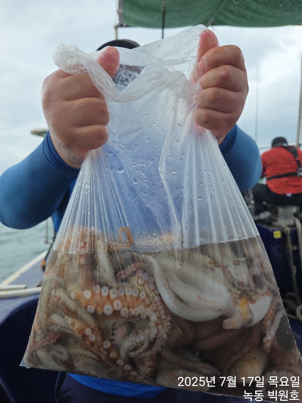 사용자가 올린 이미지