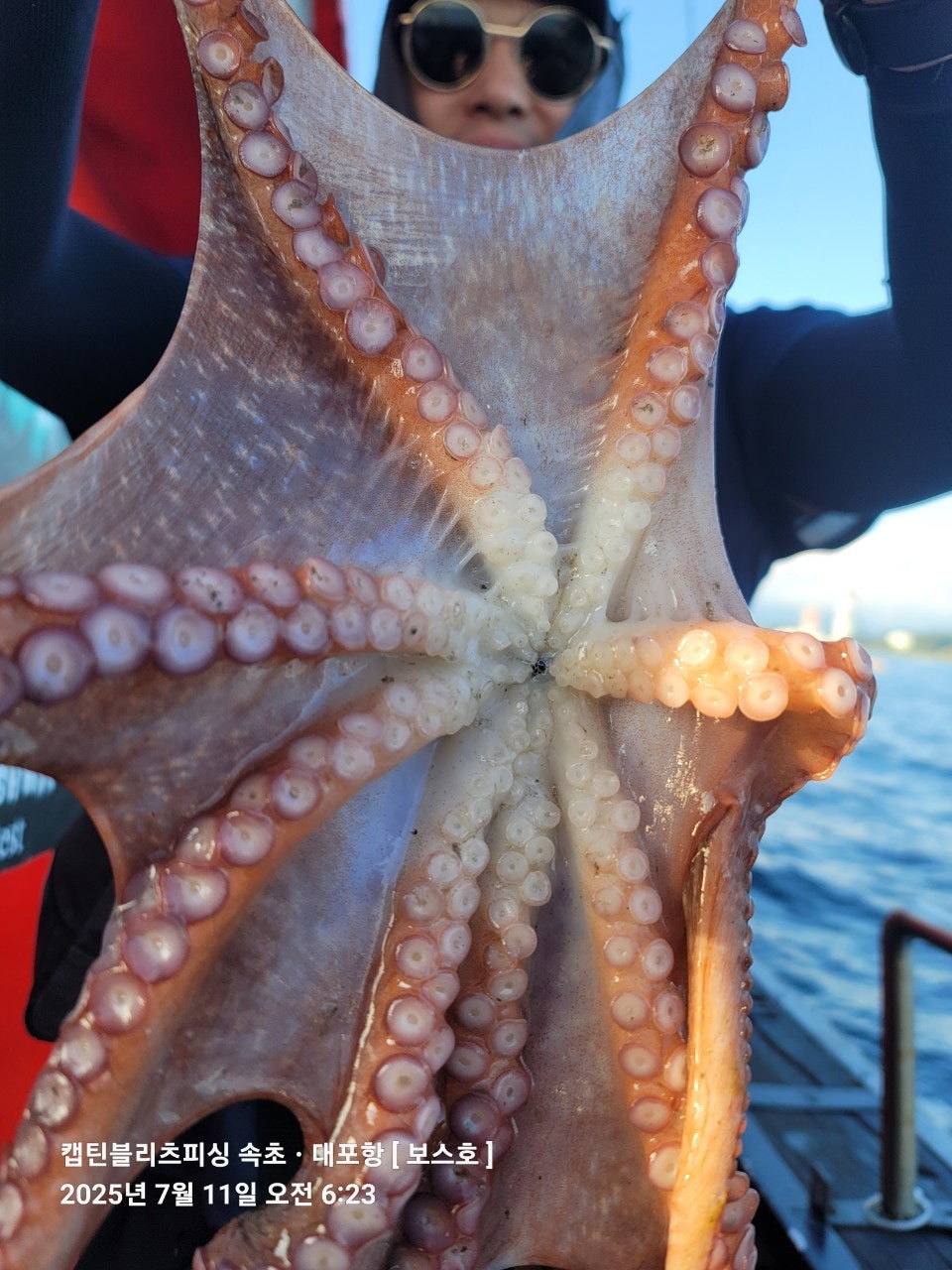 25년 7월 11일 속초 캡틴블리츠피싱 보스호 대(왕)문어 조황