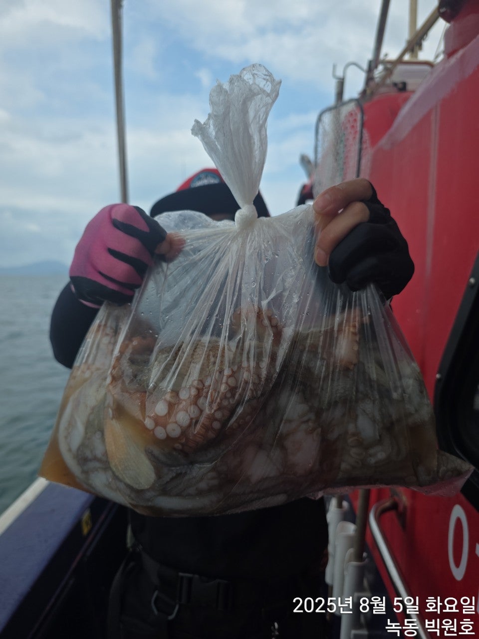 사용자가 올린 이미지