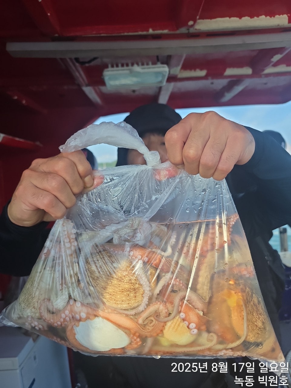 사용자가 올린 이미지