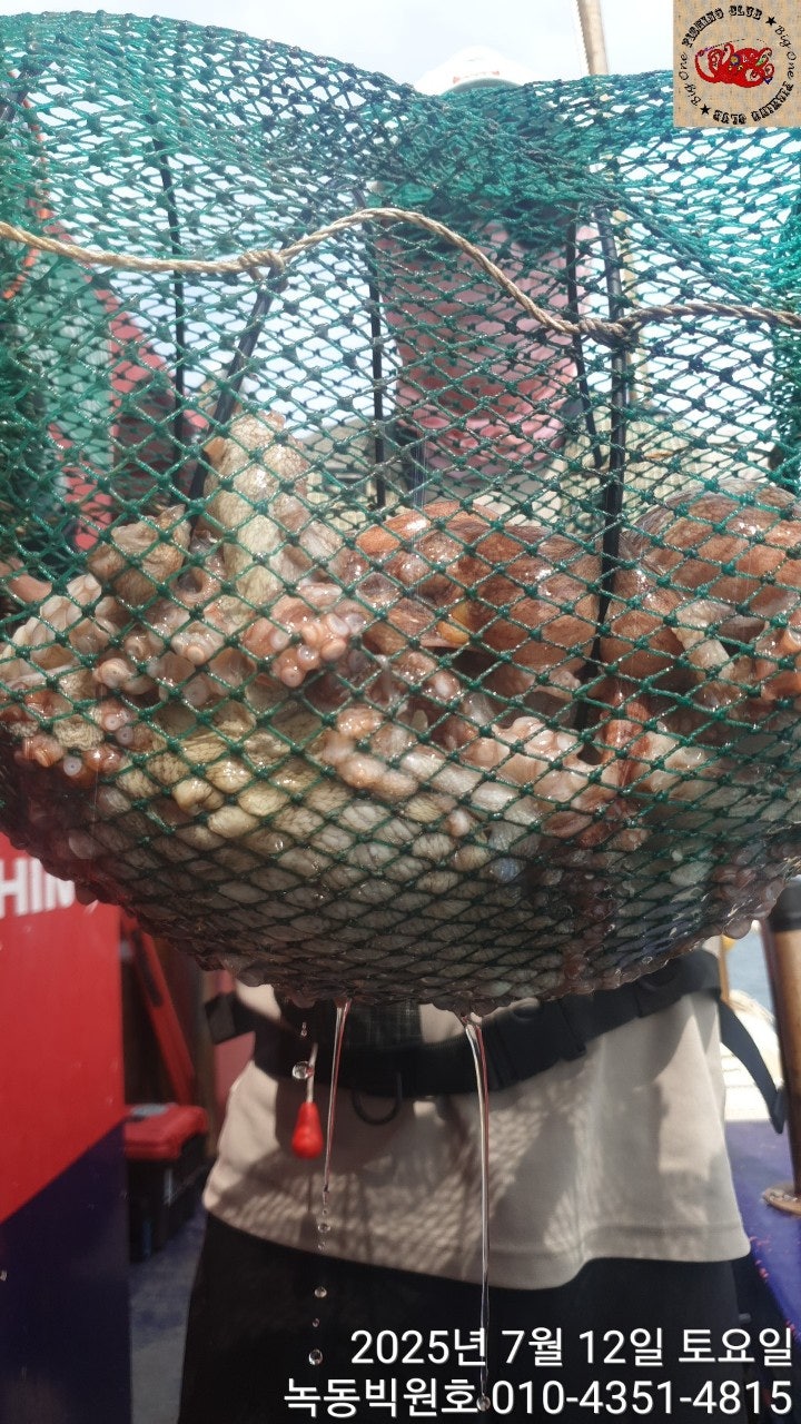 25년 7월 12일 고흥 녹동 빅원호 (왕)돌문어 조황