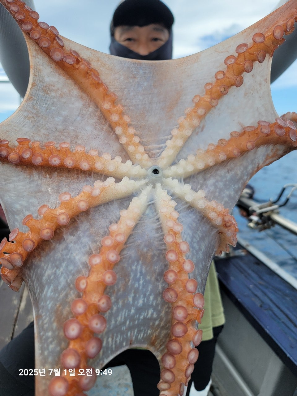 7월 1일 속초 블리츠피싱 대(왕)문어 조행