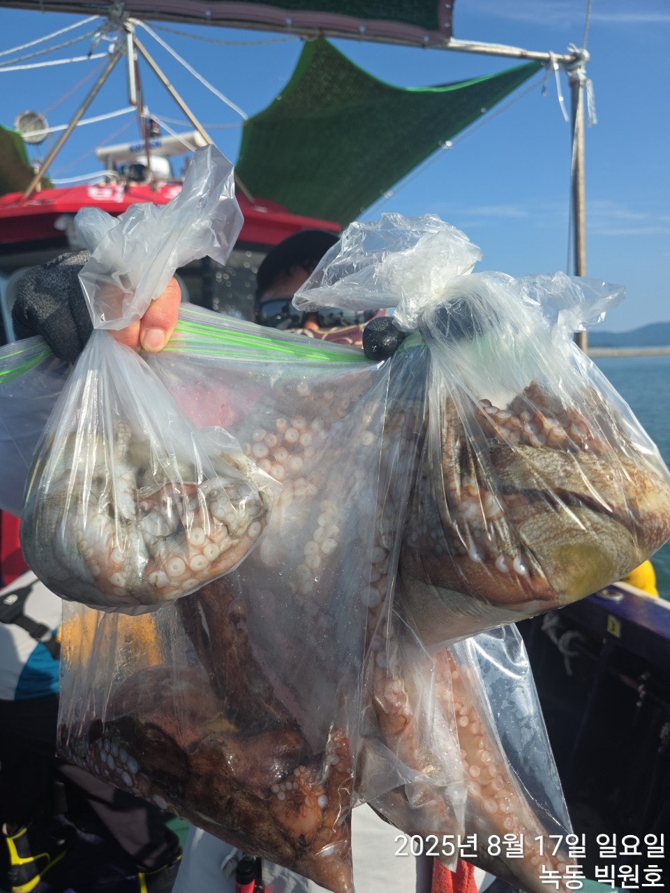 사용자가 올린 이미지