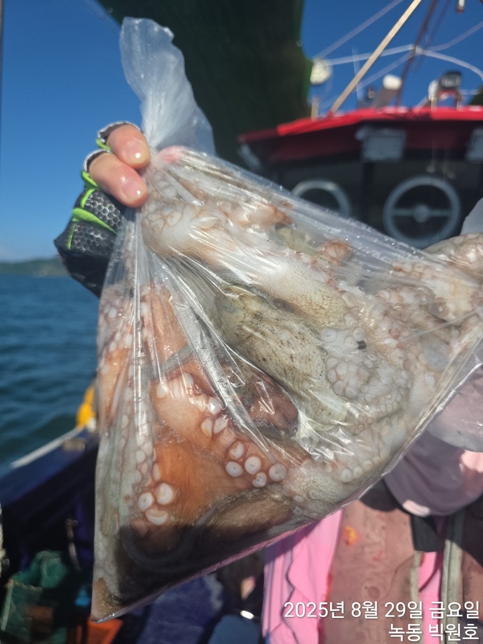 사용자가 올린 이미지