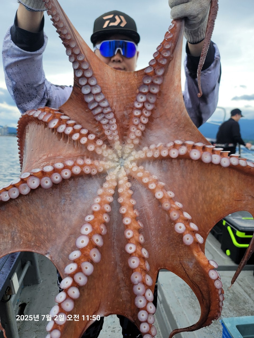 25년 7월2일 속초 캡틴블리츠피싱 보스호 대(왕)문어 조황