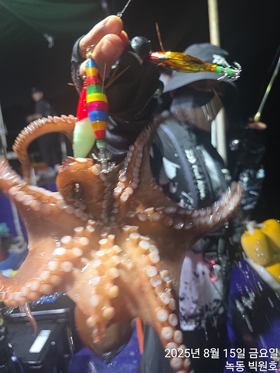 사용자가 올린 이미지