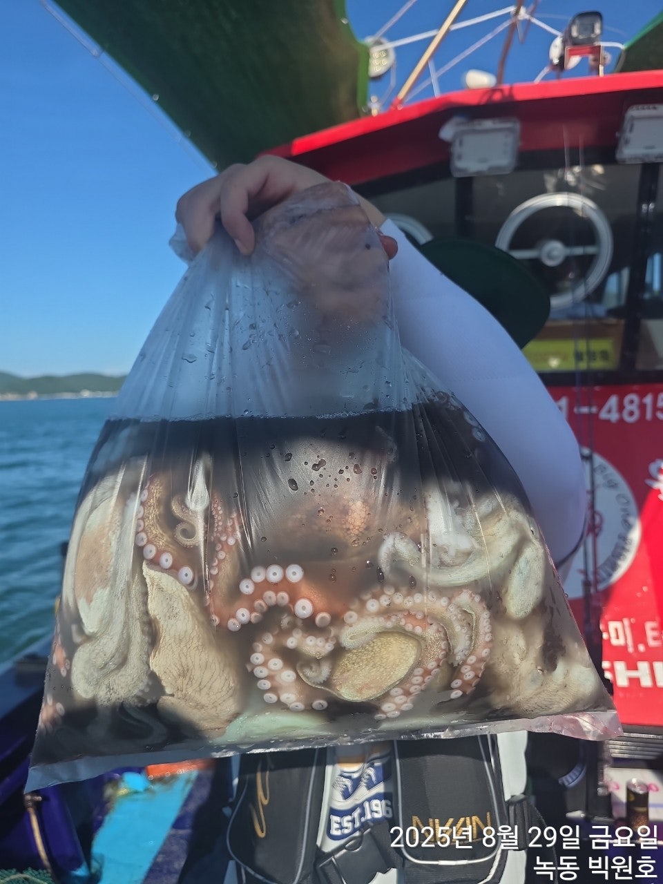 사용자가 올린 이미지