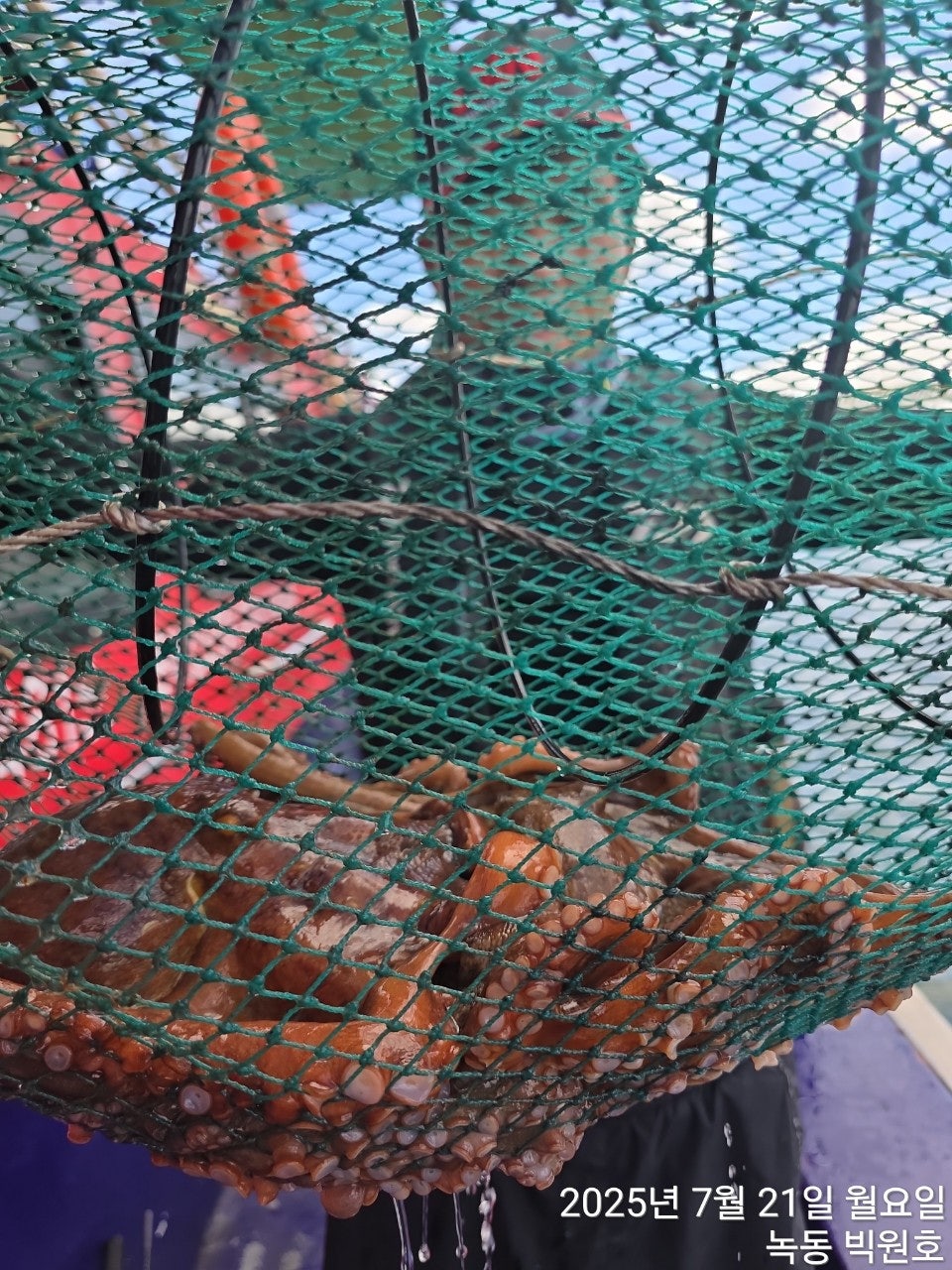 사용자가 올린 이미지