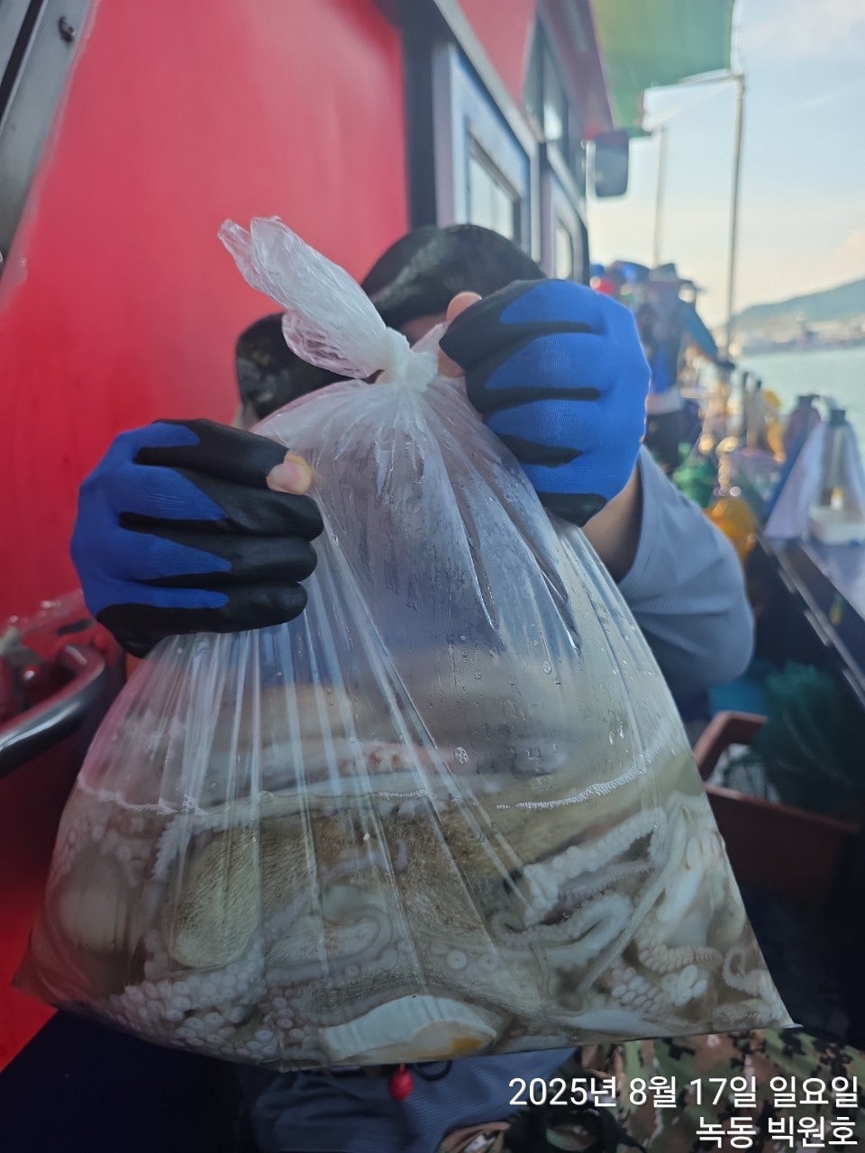 사용자가 올린 이미지