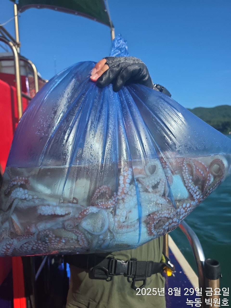 사용자가 올린 이미지