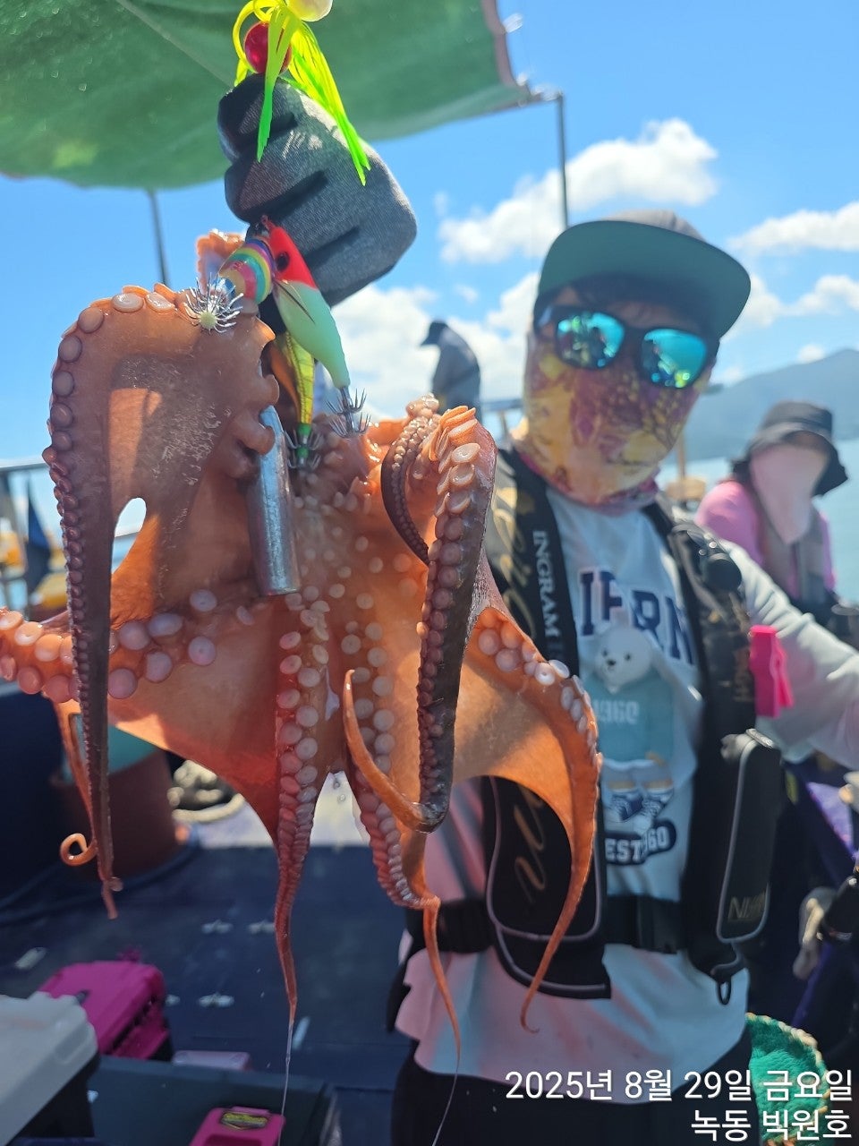 사용자가 올린 이미지