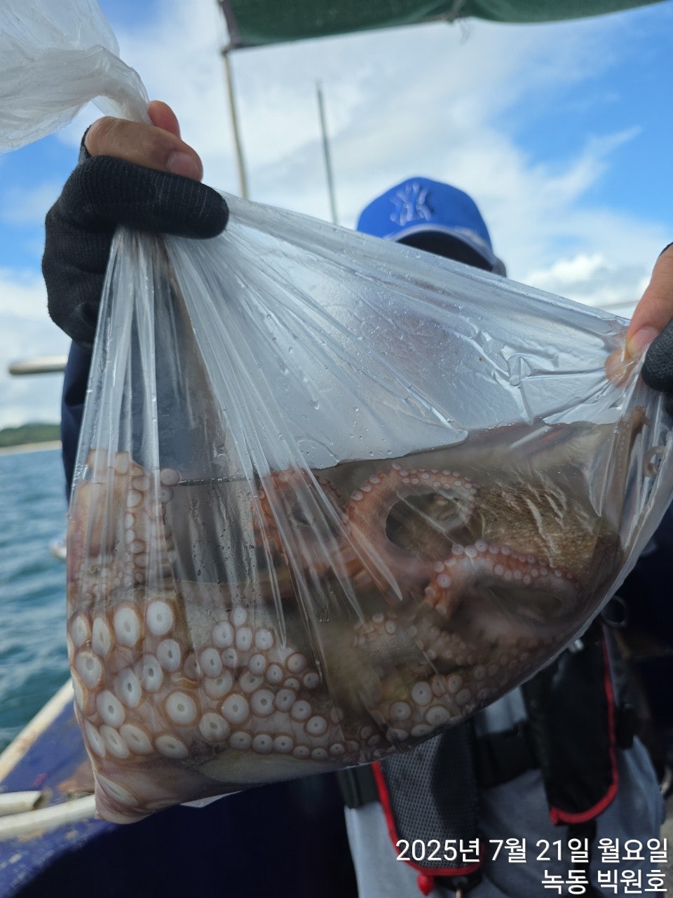 사용자가 올린 이미지