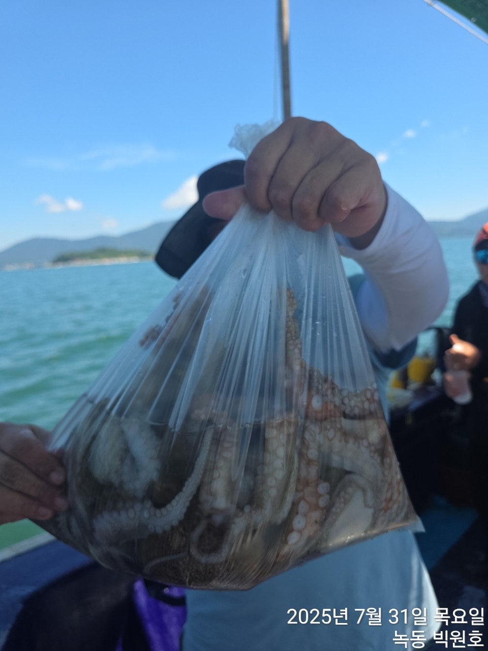 사용자가 올린 이미지