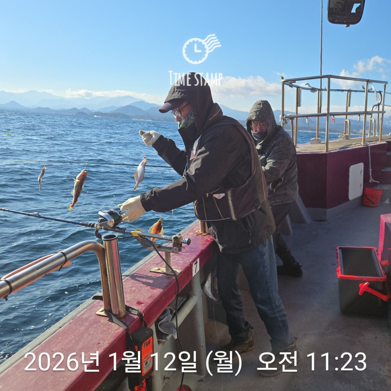 사용자가 올린 이미지