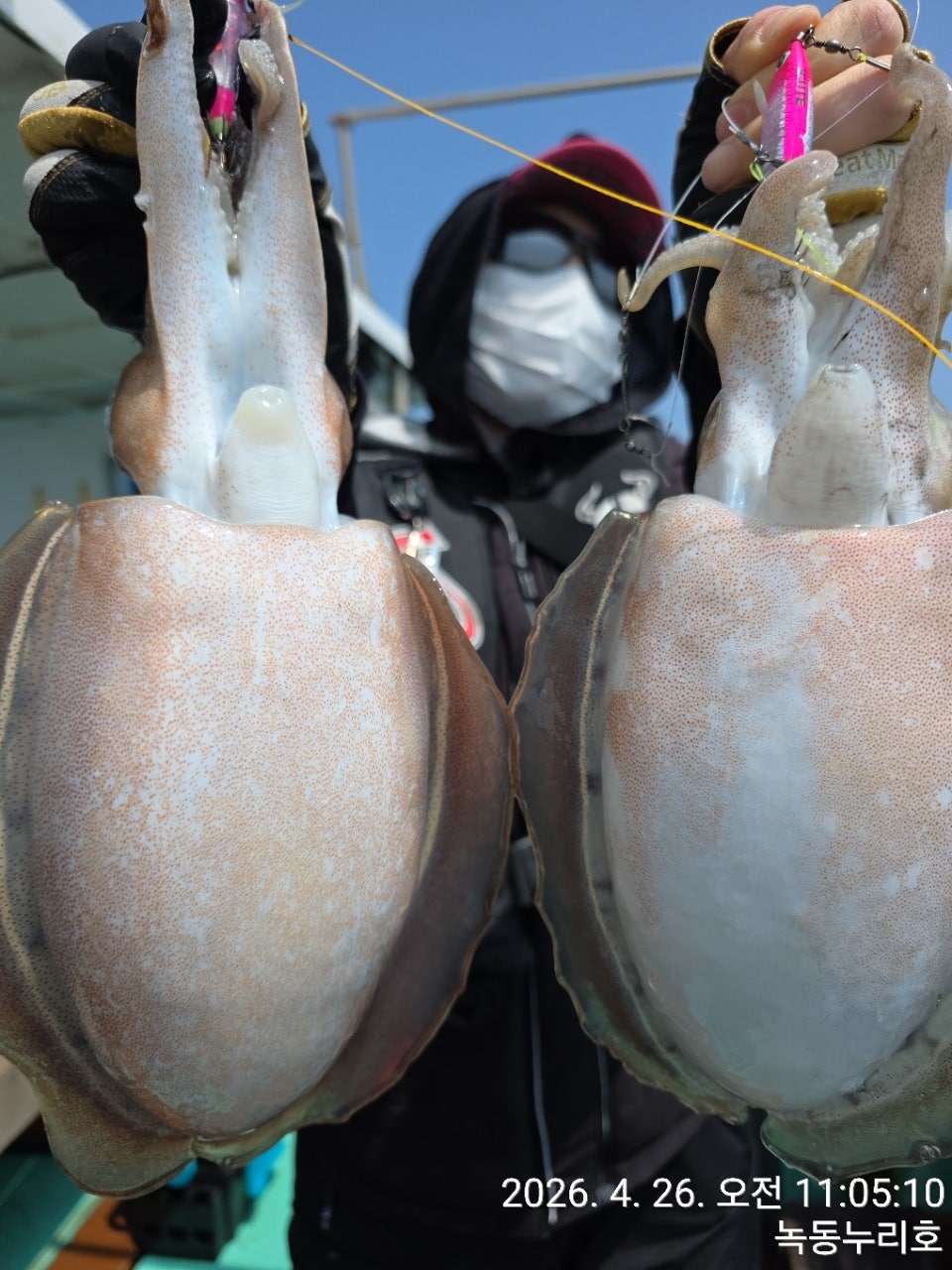 사용자가 올린 이미지