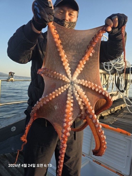 26년 4월 24일 공현진항 미르호 (왕)대구 조황