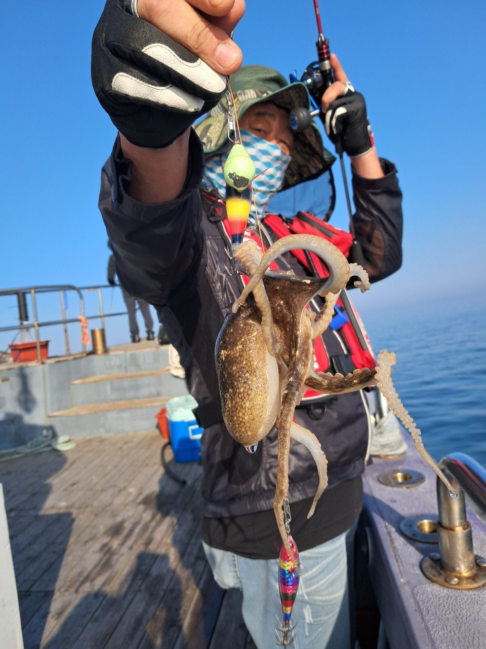 사용자가 올린 이미지