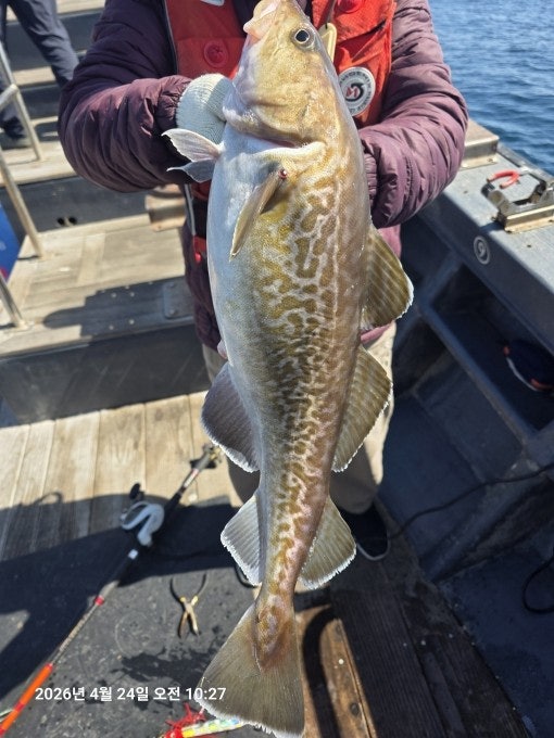 사용자가 올린 이미지