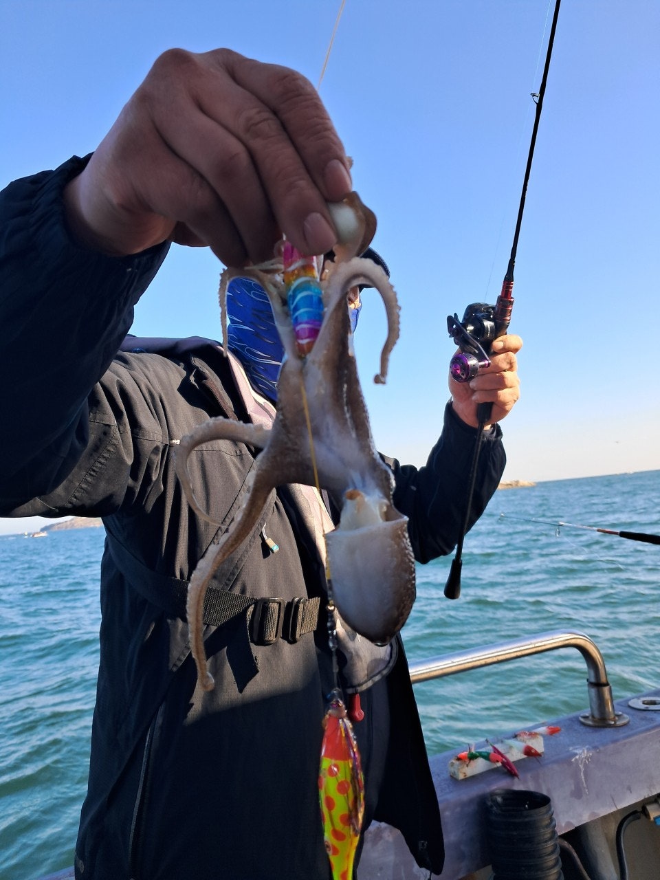 사용자가 올린 이미지