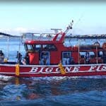 26년 4월 27일 고흥 녹동 빅원호 (왕)갑오징어 조황