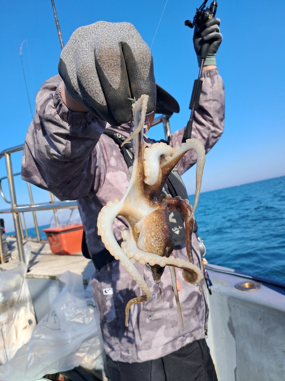 사용자가 올린 이미지