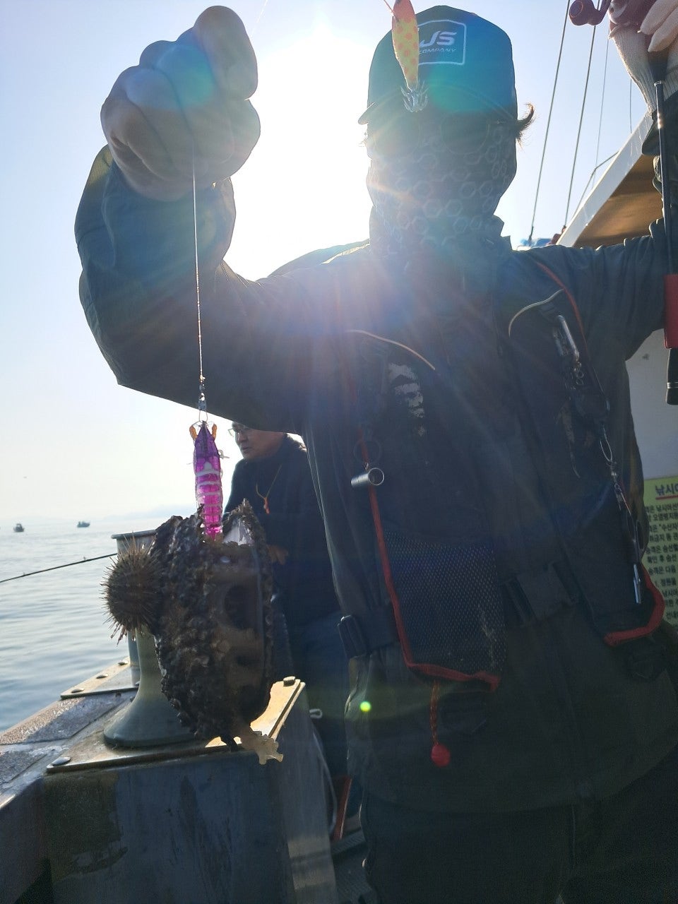 사용자가 올린 이미지