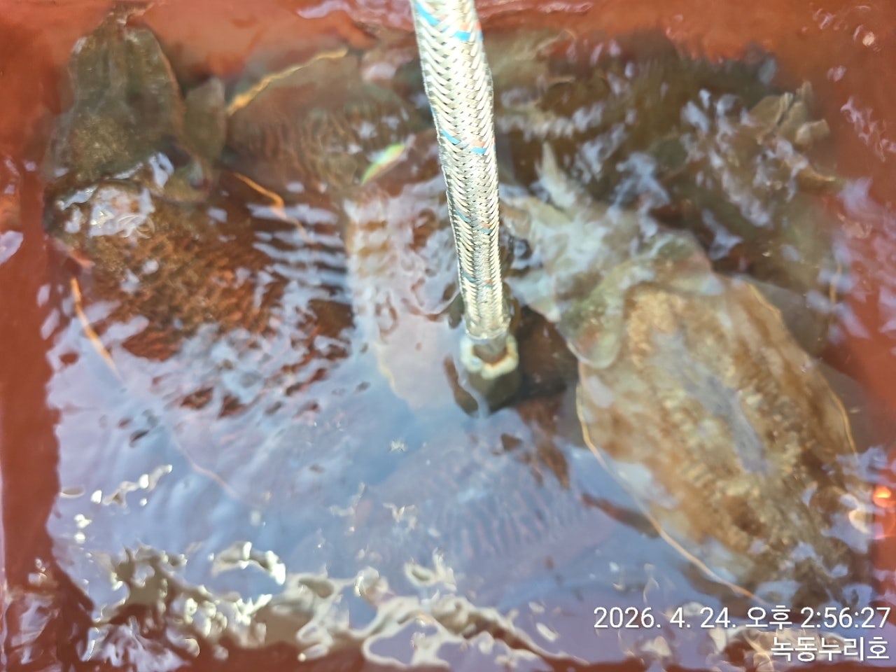 사용자가 올린 이미지